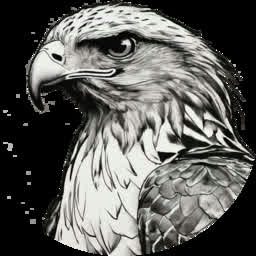 The Mono Hawk