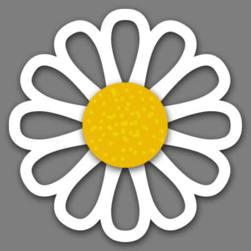 Camomile